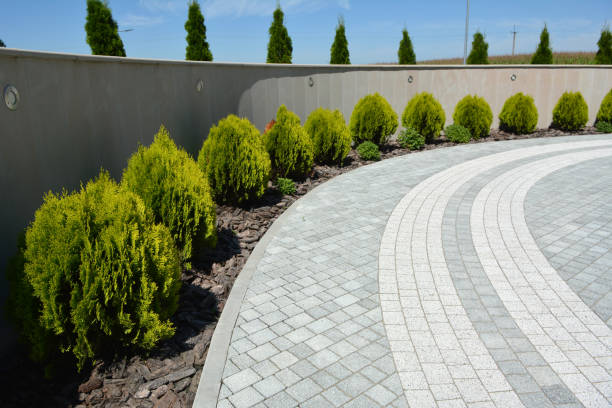 Best Cobblestone Driveway Pavers  in Franklin Grove, IL